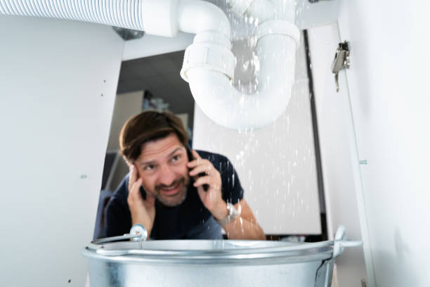 Best Sprinkler Systems  in Brentwood, MO